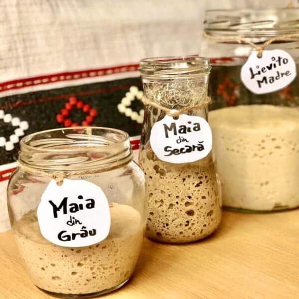 Pâine cu maia naturală ”sălbatică” - Rețete și metode fără folosirea drojdiei