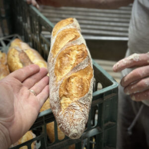 Baghetă franțuzească tradițională - Baguette Tradition Francaise (cu drojdie)